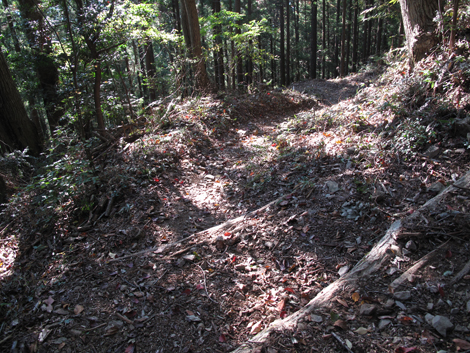 20171102hike (338)